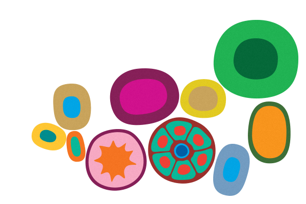 Medibank brand help icons